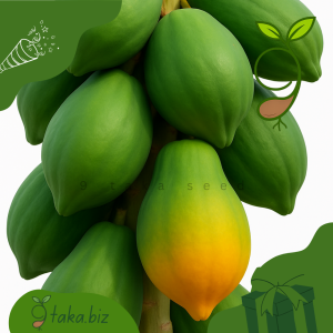 দেশি পেঁপের বীজ (১২টি দানা)