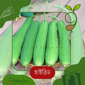 হাইব্রিড ধুন্দলের বীজ (১২টি বীজ)