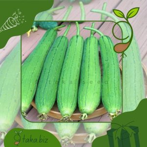 দেশি ধুন্দলের বীজ (১২টি বীজ)