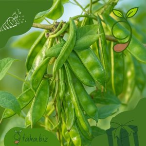 কেরালা শিমের বীজ (৬টি দানা)