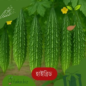 হাইব্রিড করলার বীজ (১০টি দানা)