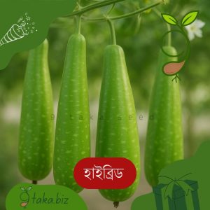 হাইব্রিড লাউ (১২টি দানা)