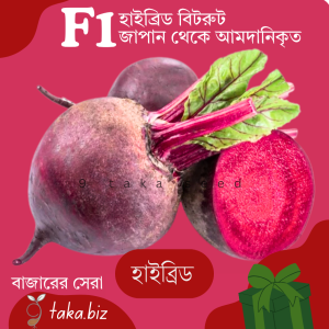 হাইব্রিড বিটরুটের বীজ (৬০টি +/- দানা)