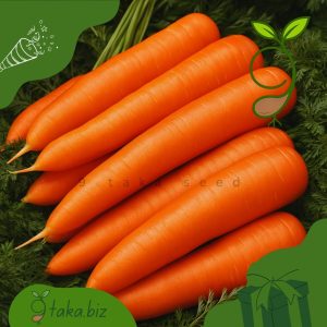 দেশি গাজরের বীজ (১০০টি +/- দানা)