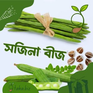 হাইব্রিড সজিনার বীজ ODC- 3 (৬টি দানা)