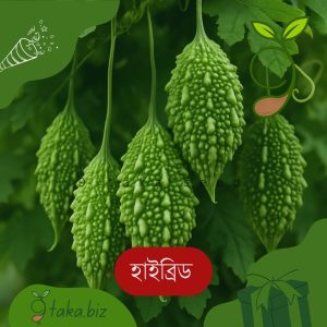 হাইব্রিড উস্তে (ছোট করলা) ১২টি দানা