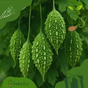 দেশি উস্তে (ছোট করলা) ১০টি দানা