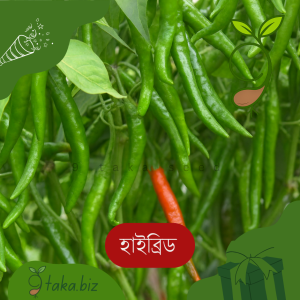 হাইব্রিড মরিচের বীজ (৬০ +/- দানা)