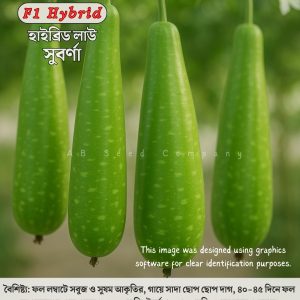 হাইব্রিড লাউ, সুবর্ণা ( ১০ গ্রাম / ৫০-৬০ বীজ)