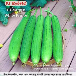হাইব্রিড ধুন্দুল, হোয়াইট প্রিঞ্চ ( ৫ গ্রাম / ৫০-৬০ বীজ)