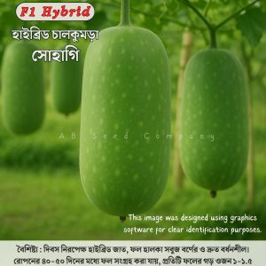 হাইব্রিড চালকুমড়া, সোহাগী-৪৫ ( ২.৫ গ্রাম / ৫০-৬০ বীজ)