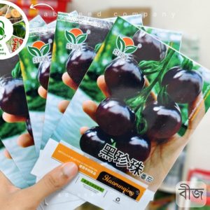 Black tomatoes ( ১০০ বীজ) কালো টমেটোর বীজ)