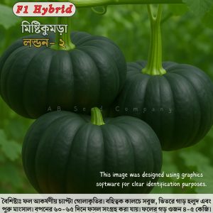 হাইব্রিড কুমড়া, লন্ডন-২ ( ১০ গ্রাম / ৮০ +/- বীজ)
