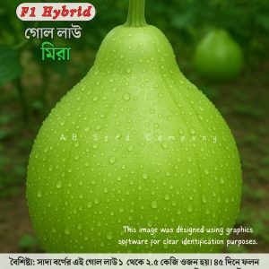 হাইব্রিড গোল লাউ, মিরা ( ১০ গ্রাম / ৫০ +/- বীজ)