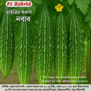 হাইব্রিড করলা, নবাব ( ১০ গ্রাম / ৫০ +/- পিচ বীজ)