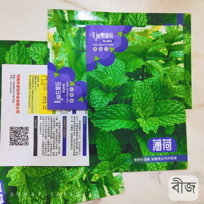 পুদিনা পাতা (আনুমানিক ১,০০০ বীজ) পুদিনা পাতা চাষ বেশ সম্ভাবনাময় একটি কৃষি উদ্যোগ, এর বাজার মূল্যও ভালো