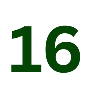 ছাদবাগান কম্বো- বাছাই করা ১৬টি সেরা আইটেম (৮০% F1 হাইব্রিড ও বিদেশি আইটেম)